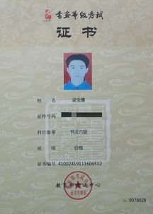 2019年上半年中國書畫等級考試成績揭曉 傳承與創(chuàng)新共舞
